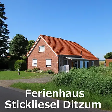 Stickliesel Ditz125 Am Dollart Emsmuendung Naehe Emden Faehre *