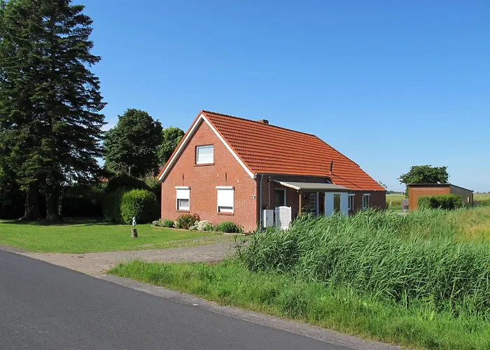 Stickliesel Ditz125 Am Dollart Emsmuendung Naehe Emden Faehre * דיצום