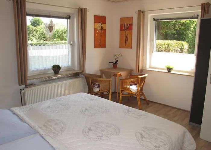 Stickliesel Ditz125 Am Dollart Emsmuendung Naehe Emden Faehre דיצום