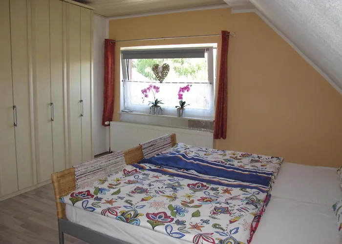 Stickliesel Ditz125 Am Dollart Emsmuendung Naehe Emden Faehre *
